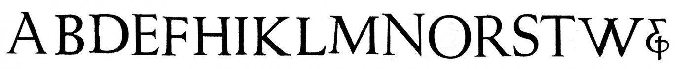 sample.jpg