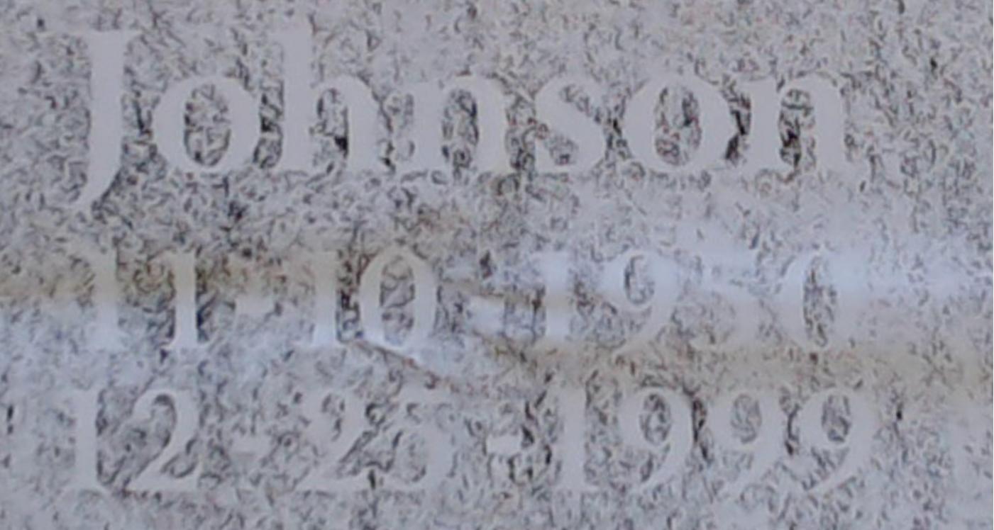284929Leascu.jpg