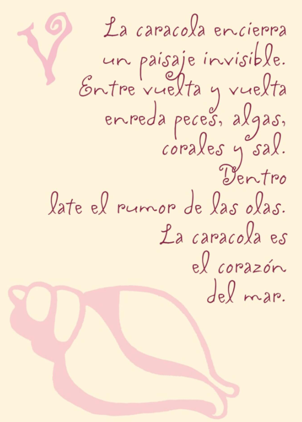 IMG_8924.png