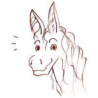 MorganeDonkey